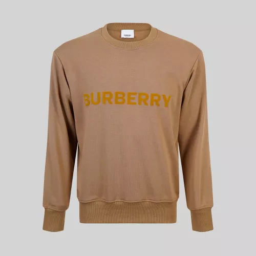 Burberry Hoodies Long Sleeved For Men #1370866