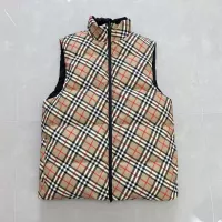 $108.00 USD Burberry Down Feather Coat Sleeveless For Unisex #1366615