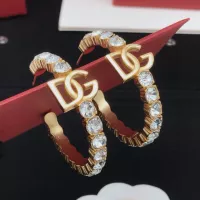 $32.00 USD Dolce & Gabbana D&G Earrings For Women #1371465