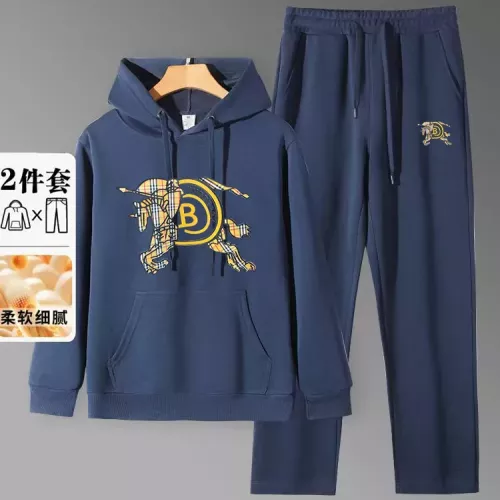 Burberry Tracksuits Long Sleeved For Men #1375075
