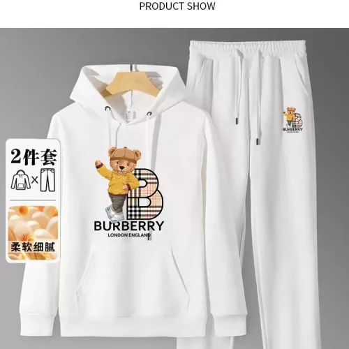 Burberry Tracksuits Long Sleeved For Men #1375091