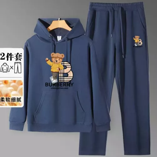 Burberry Tracksuits Long Sleeved For Men #1375093