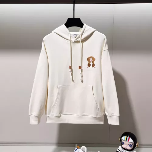 LOEWE Hoodies Long Sleeved For Unisex #1377106