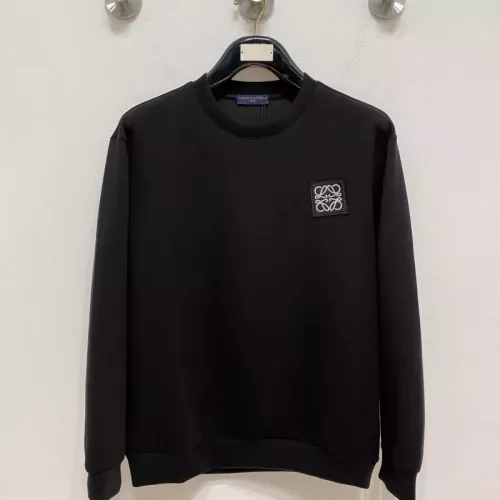 LOEWE Hoodies Long Sleeved For Unisex #1378136