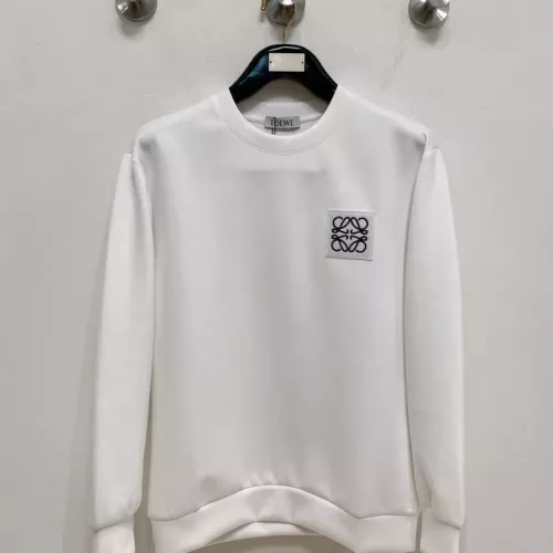 LOEWE Hoodies Long Sleeved For Unisex #1378137