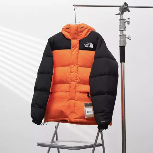 The North Face Down Feather Coat Long Sleeved For Unisex #1380269