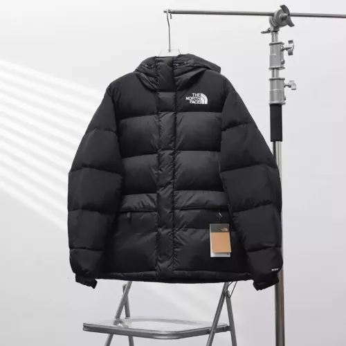 The North Face Down Feather Coat Long Sleeved For Unisex #1380273