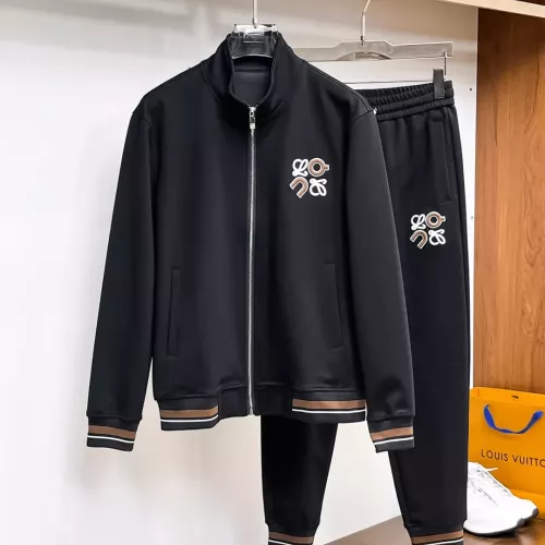 LOEWE Tracksuits Long Sleeved For Men #1380409