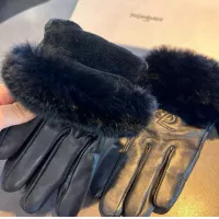 $52.00 USD Yves Saint Laurent Gloves For Women #1379097