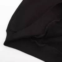 $48.00 USD Celine Hoodies Long Sleeved For Unisex #1380238