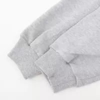 $52.00 USD Celine Hoodies Long Sleeved For Unisex #1380248