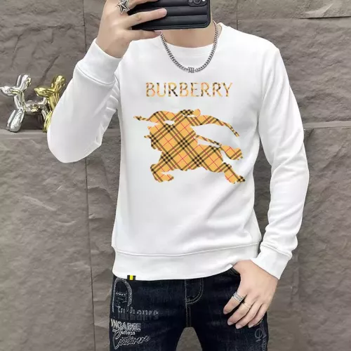 Burberry Hoodies Long Sleeved For Men #1382798