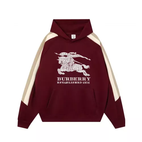 Burberry Hoodies Long Sleeved For Unisex #1383125