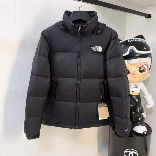 The North Face Down Feather Coat Long Sleeved For Unisex #1383451