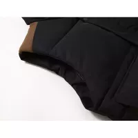 $56.00 USD Balenciaga Jackets Sleeveless For Men #1386026