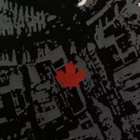 $42.00 USD Dsquared Hoodies Long Sleeved For Men #1387186