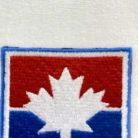 $42.00 USD Dsquared Hoodies Long Sleeved For Men #1387205