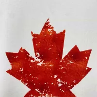 $42.00 USD Dsquared Hoodies Long Sleeved For Men #1387242