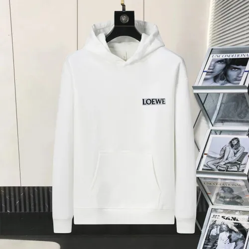 LOEWE Hoodies Long Sleeved For Men #1403172