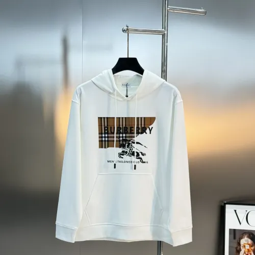 Burberry Hoodies Long Sleeved For Men #1405117