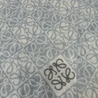$52.00 USD LOEWE Scarf #1395016