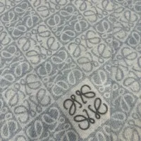 $52.00 USD LOEWE Scarf #1416161