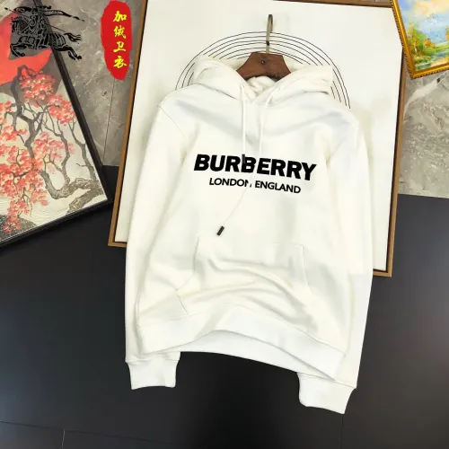 Burberry Hoodies Long Sleeved For Men #1421276