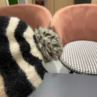 $34.00 USD Moncler Caps #1422056