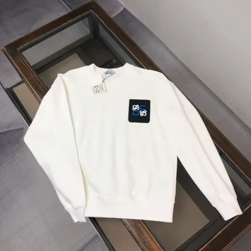 LOEWE Hoodies Long Sleeved For Unisex #1431229
