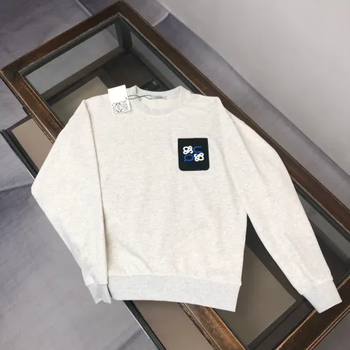 LOEWE Hoodies Long Sleeved For Unisex #1431230