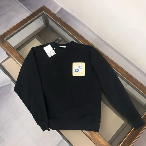 LOEWE Hoodies Long Sleeved For Unisex #1431232