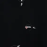 $32.00 USD LOEWE T-Shirts Short Sleeved For Unisex #1430114