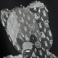 $27.00 USD Philipp Plein PP T-Shirts Short Sleeved For Men #1431061