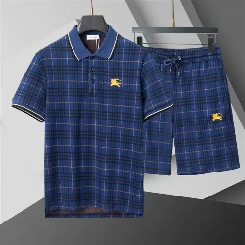 Burberry Tracksuits Short Sleeved For Men #1446705