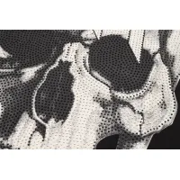 $27.00 USD Philipp Plein PP T-Shirts Short Sleeved For Men #1443771