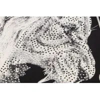 $27.00 USD Philipp Plein PP T-Shirts Short Sleeved For Men #1443799