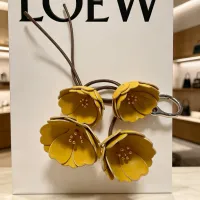 $36.00 USD LOEWE Key Holder And Bag Buckle #1449197
