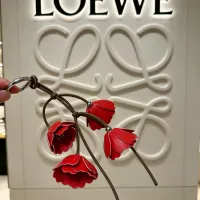 $36.00 USD LOEWE Key Holder And Bag Buckle #1449201