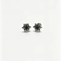 $25.00 USD Chrome Hearts Earrings For Unisex #1449709