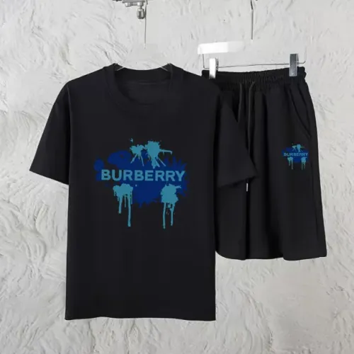 Burberry Tracksuits Short Sleeved For Unisex #1461313
