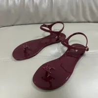 $52.00 USD Celine Sandal For Women #1462333