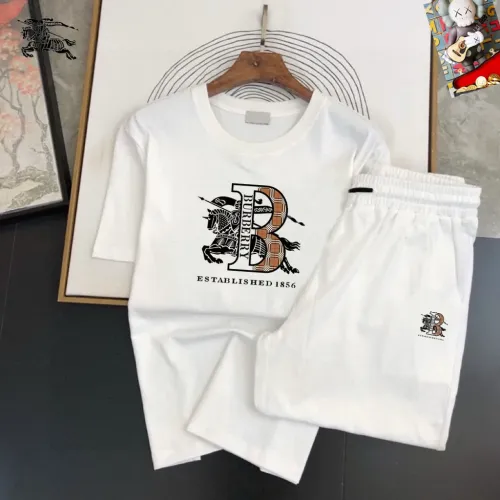 Burberry Tracksuits Short Sleeved For Men #1473948