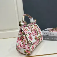 $108.00 USD Dolce & Gabbana AAA Quality Handbags For Women #1475813