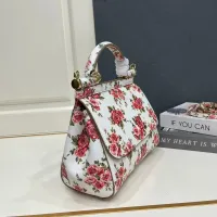 $108.00 USD Dolce & Gabbana AAA Quality Handbags For Women #1475816