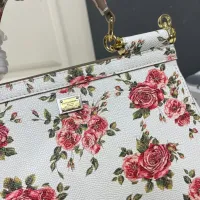 $108.00 USD Dolce & Gabbana AAA Quality Handbags For Women #1475816
