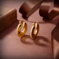 $25.00 USD Bottega Veneta Earrings For Women #1478188